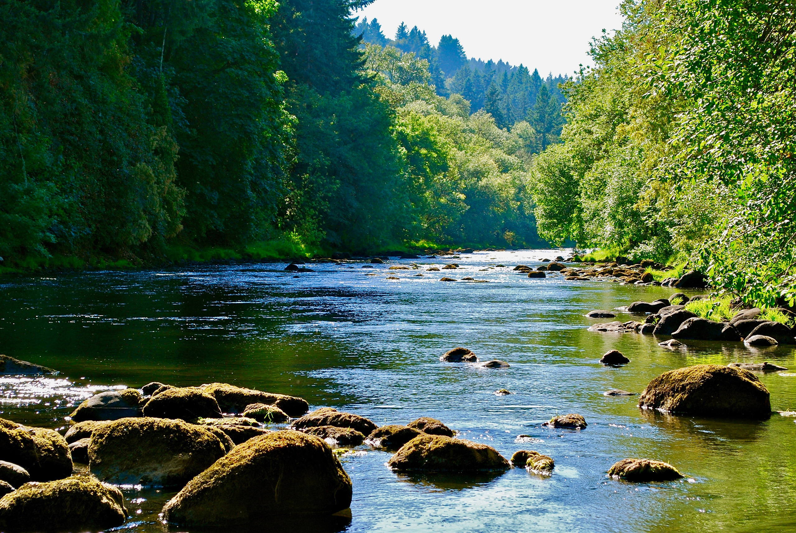 Tualatin River 1